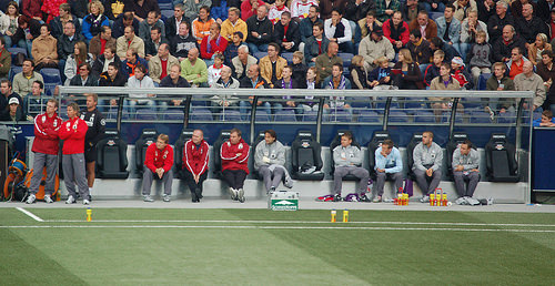 the bench the bench